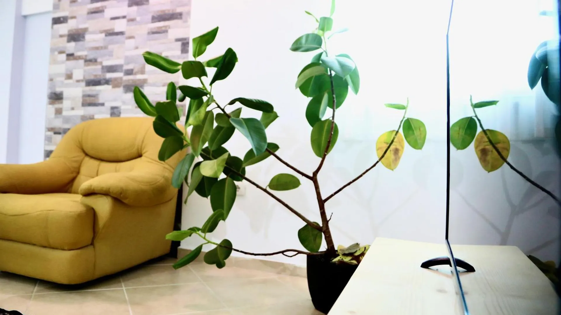 The Bllok Spot Apartment Tirana Albania